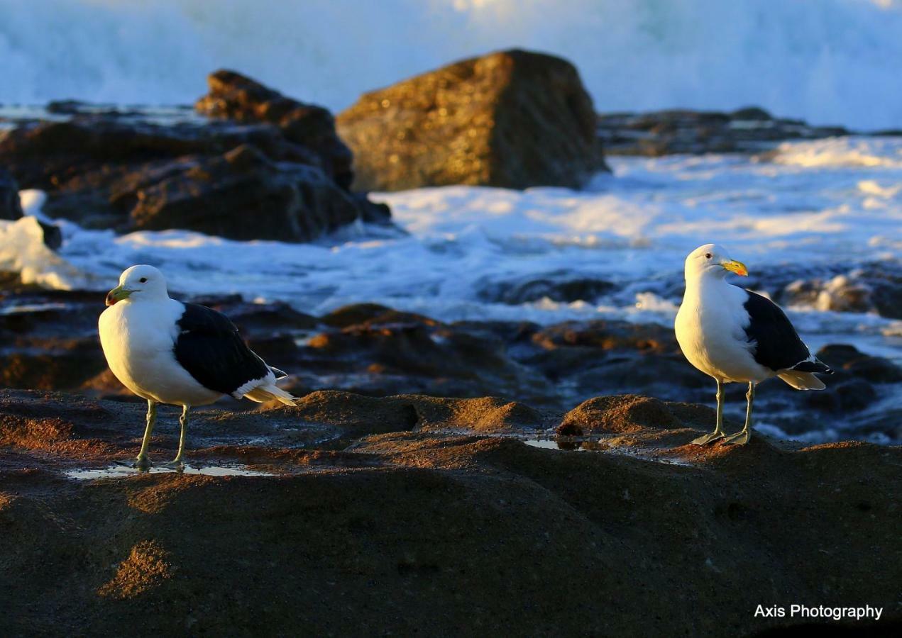 Laguna 75 Διαμέρισμα Uvongo Beach Εξωτερικό φωτογραφία